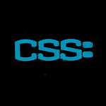 WordPress Custom CSS Class Support