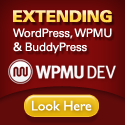 WordPress, Multisite and BuddyPress plugins, themes and support